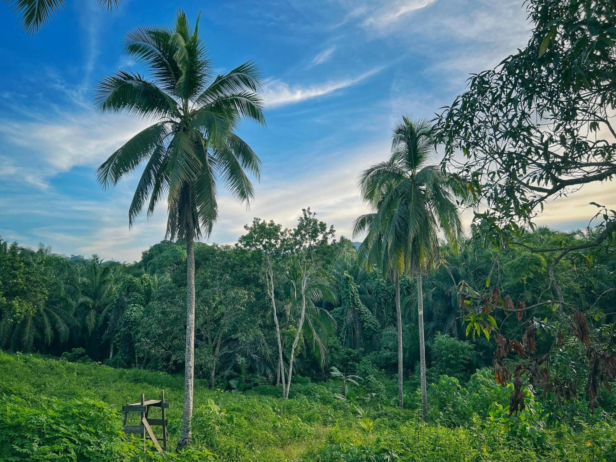 Timba Garden Free Town And Jetty Transport Hotel Semporna Exterior photo
